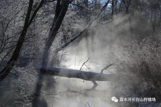 燃烧吧大脑免广告最新版