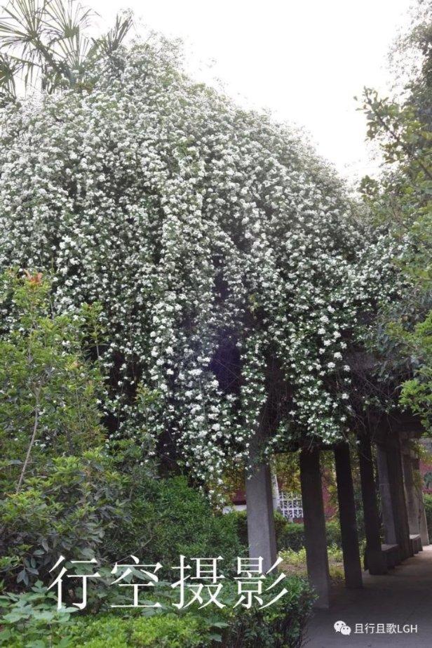 事发太原!一月嫂被指为哄睡婴儿投喂安眠药?平台回应...